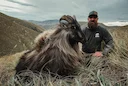 When I tell you New Zealand is awesome that’s an understatement!!! Day 1 of Tahr hunting we had 3 great Bulls down by 10am. 