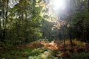 Helsinki Hunting: The Complete Overview of Legislation, Demographics, Laws, and Traditions

Helsinki, Finland’s vibrant capital, may not immediately come to mind as a hun