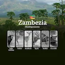 Mastering Zambezia's Hunting Seasons and Calendar for Legendary African Trophies

Hunting Regulations and Seasonal Framework in Zambezia

The official hunting season in Z