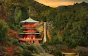 Japan
The numbers of licensed hunters in Japan, including those using snares and guns, is generally decreasing, while their average age is increasing. As of 2010, there w