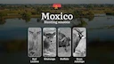 Hunting Seasons of Moxico: Exploring General Hunting Rules, Legislation and Permits, Hunter Events and Cultural Experiences

General Hunting Rules and Seasons in Moxico

