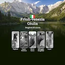 Dalle Alpi Giulie alla Laguna di Grado: Calendario Venatorio Completo del Friuli-Venezia Giulia con Date e Zone Migliori

Regolamentazione e Periodi di Caccia in Friuli-V