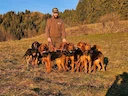🎙️💥PRÉSENTATION SIXIÈME MEUTE💥

En ce lundi soir, nous allons vous présenter Alexandre BELLAMY, ce jeune chasseur pationné depuis toujours !!!🤩🐗

Alexandre , nous so
