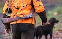 LFI propose une taxe de 50 € par animal prélevé dans le cadre du budget 2026: la FNC dénonce une attaque idéologique 

Le groupe LFI dépose un projet de loi visant à taxe