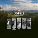 When the Floodplains Give Life: Sofala's Strategic Hunting Seasons and Calendar for Discerning Hunters

Hunting Regulations and Seasonal Framework in Sofala

The official