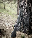 Sauer S100 Review: Best Budget Hunting Rifle, Specs, Calibers, Price & Field Performance.

Table of Contents Sauer 100

• Introduction to the Sauer S100
• Sauer S100 Vari