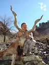 Asian rarities from 🇵🇰 Pakistan

What a variety of trophies are found in one mountainous country!

Such different, inimitable and valuable species:
🔹 Markhors
🔹 Class