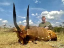 Hunting in Alebtong, Uganda: Best Times for Uganda Kob and Traditional Lango Spear Hunting Techniques

Geographical Features and Natural Landscape

Alebtong, a district n