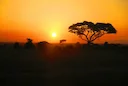 Hunting in Atakora: Laws, Legislation and Сlubs. A Thrilling Adventure in West Africa’s Hidden Wilderness (PART 1)

Nestled in the northernmost part of Benin, Atakora is 