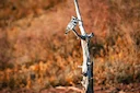 Caza en Chaco: Entre Quebrachales y Zonas Húmedas, Descubre una Caza Tradicional en Ambientes del Gran Chaco Argentino

Características climáticas importantes para la caz