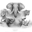 Hunting in Africa: Regional Wildlife Pursuits & Trophy Species avatar