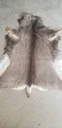 Tanned Muley deer
Tanned Muley deer and white tail deer hides for sale. These are just a couple of many. Asking $185.00 each. Makes nice rugs
Nice rugs
Tanned Muley dee Tanned Muley deer
Tanned Muley deer and white tail deer hides for sale. These are just a couple of many. Asking $185.00 each. Makes nice rugs
Nice rugs
Tanned Muley dee