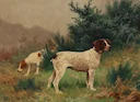 Wildlife art by Georges Frederic Rotig  (1873-1961)