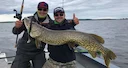 Trophy pike in Braslav lakes
Pike are usually caught casting. Pike fishing is similar to bass fishing in that you can catch them on lures and by usually casting shoreli
Trophy pike in Braslav lakes
Pike are usually caught casting. Pike fishing is similar to bass fishing in that you can catch them on lures and by usually casting shoreli
