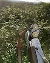 Beretta 686 Silver Pigeon I: Обзор, характеристики, калибры, цена, отзывы, чоки.

Beretta 686 Silver Pigeon I — это легендарное двуствольное ружье с вертикальным располож