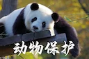 中国合法狩猎深度解析：法规、实践与生态平衡 

在我国，合法狩猎是在严格的法律框架和生态科学指导下进行的特殊活动，绝非简单的野外捕猎。以下是结合既有信息与深度补充的全面解析。

 😃 一、合法狩猎的法律依据与最新动态

合法狩猎的核心法律依据是 《中华人民共和国野生动物保护法》。根据该法，猎捕国家一级保护野生动物，必须向国务院野生动物保