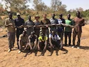Unofficial statistics Stalker

🦒 Our hunters have hunted 33 giraffes since the company was founded
🐍 If you add up the length of all the pythons hunted in Cameroon by t