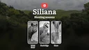 Hunting Seasons in SILIANA: Key Regulations, Protected Species, Legal Requirements and Practical Recommendations
Siliana, a region in northwestern Tunisia, is a prime de Hunting Seasons in SILIANA: Key Regulations, Protected Species, Legal Requirements and Practical Recommendations
Siliana, a region in northwestern Tunisia, is a prime de