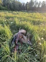 Die Jagdsaison ist endlich eröffnet, und mit ihr beginnt das aufregende Abenteuer, das die Herzen der Jäger höher schlagen lässt. Der Duft des feuchten Waldes und das ras