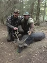 Jagd in Waidhofen an der Thaya: Wildvorkommen, Landschaft, Methoden, Rahmenbedingungen, Jägerschaft, Saisonablauf, Brauchtum, Fakten   

Wildvorkommen und Lebensräume

Da