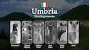 From Trasimeno to the Apennines: Umbria's Hunting Seasons Explained – Opening Dates, Special Permits and Prohibited Periods

The hunting season in Umbria is regulated by 