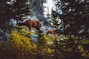 Nationwide Decline in Doe Harvest Raises Concerns for Deer Management in 2025

Wildlife experts and conservation leaders are sounding the alarm: hunters across the United