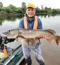 Рыбачил почти час: 10 минут ловил, 40 — реанимировал. На Днепре поймали щуку весом 9 килограммов
Рыбе в наших широтах приходится тяжело и летом и зимой, ведь ловцам не с Рыбачил почти час: 10 минут ловил, 40 — реанимировал. На Днепре поймали щуку весом 9 килограммов
Рыбе в наших широтах приходится тяжело и летом и зимой, ведь ловцам не с