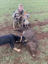 Il me reste une chienne de 6 mois pure griffon nivernais.
 les parent sont creancer au sanglier et font tout les deux le pied..
La première photo sont les parent 
je vous