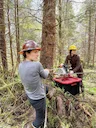 Creating a Tribal Restoration Workforce

The rain slowly fell on a cool May morning as a small crowd of people gathered in a pullout alongside an old logging road in Ketc