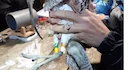 Un courlis fidèle et vieux de 21 ans !

C’est une découverte qui a montré qu’un courlis peut être fidèle à un lieu et qu’il peut vivre longtemps!  En effet, en février,  