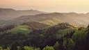 The Most Beautiful Forests in the World

From the bamboo groves of Japan to the tangled tropical wilds of the Amazon, just the sight of these forests will help you breath