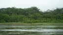 Hunting in the Bié Region of Angola: A Look at Wildlife, Hunting Methods, Traditions, Associations, Interesting Facts and Laws

The Bié region in Angola offers a unique h