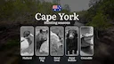 Cape York's Wild Calendar: Tropical Hunting Seasons, Buffalo Rhythms and Outback Pursuits

Hunting Regulations & Seasonal Framework in Cape York

Cape York operates under