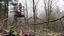 Jagd im PFÄLZERWALD: Geographische Besonderheiten aus jagdlicher Sicht, Jäger und Demografie der Region und interessante Fakten zur Jagd
Geographische und natürliche Bes Jagd im PFÄLZERWALD: Geographische Besonderheiten aus jagdlicher Sicht, Jäger und Demografie der Region und interessante Fakten zur Jagd
Geographische und natürliche Bes