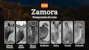 Normativa Cinegética de ZAMORA: Temporadas y períodos de caza, Especies y Requisitos Legales para Cazadores

Zamora es uno de los destinos favoritos para los amantes de l