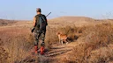 Tunisia Hunting Season 2025/2026: Official Dates, Species & Fees for Hunters 

Official calendar for Tunisia hunting season 2025/2026. Opening dates for wild boar, migrat