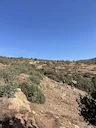 Shooting in the Atlas Mountains: Complete Hunting Guide for Morocco’s Premier Region

The Atlas Mountains of Morocco are a magnet for serious hunters seeking rugged terra