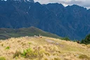Explore Tasman hunting regions: a blend of beauty and adventure, seasonal hunting schedules and hunter demographics

Terrain and natural properties of the region that ins