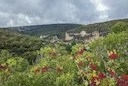 La chasse en DRÔME: Portrait des chasseurs, démographie cynégétique, types de chasse uniques et faune locale

La Drôme, située dans la région Auvergne-Rhône-Alpes en Fran