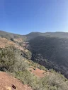 Ouverture de la saison de chasse 2025 à Béni Mellal-Khénifra : réglementation, biodiversité et développement durable

📅 Lancement officiel de la saison

La saison de cha