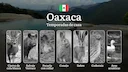 Temporadas y períodos de Caza en Oaxaca: Periodos Legales, Especies y Requisitos para una Práctica Responsable
Oaxaca es uno de los estados más ricos en biodiversidad de Temporadas y períodos de Caza en Oaxaca: Periodos Legales, Especies y Requisitos para una Práctica Responsable
Oaxaca es uno de los estados más ricos en biodiversidad de
