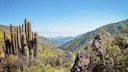 Inauguran el primer Monumento Natural del nuevo Sistema Nacional de Áreas Protegidas en Chile

El Ministerio del Medio Ambiente de Chile oficializó la incorporación de Qu