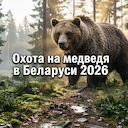 Охота на медведя в Беларуси 2026: правила, розыгрыш, цены и условия в угодьях РГОО «БООР»

Медвежья охота по праву считается вершиной охотничьего мастерства. Это не прост