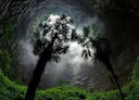 Enormous Sinkhole With Ancient Forest Inside Discovered in China

An enormous sinkhole with an ancient forest inside has been discovered by cave explorers in China.

The 