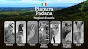 Caccia in Pianura Padana: Stagioni per Fagiani, Starne e Anatidi tra Coltivazioni e Zone Umide

La Pianura Padana , che si estende tra Lombardia, Emilia-Romagna, Veneto e
