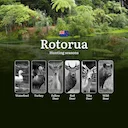 All About ROTORUA Region Timing and Rules, Hunting Seasons, Documents, Clubs, and Expert Help
How Hunting Seasons Are Regulated in Rotorua: Key Periods and Regional Feat All About ROTORUA Region Timing and Rules, Hunting Seasons, Documents, Clubs, and Expert Help
How Hunting Seasons Are Regulated in Rotorua: Key Periods and Regional Feat