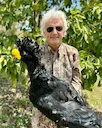 The Great Curassow found in the jungle on the Yucatán Peninsula of Mexico! What an awesome specimen! The Great Curassow found in the jungle on the Yucatán Peninsula of Mexico! What an awesome specimen!