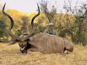 Hunting in the Eastern Cape: Kudu Terrain, International Demographics, and Traditional Trophy Pursuits

Natural Features in the Eastern Cape kudu

The Eastern Cape offers