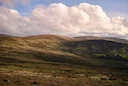  Kerry Red Deer Hunting in Munster, Ireland: The Best Hunter's Guide about Seasons. Know more about Demographics, Associations and Clubs

Kerry, located in the south-west