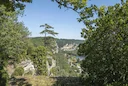 La chasse dans l'AIN: Caractéristiques géographiques, nature sauvage, types de chasse régionaux et gibier local

L'Ain, département situé dans la région Auvergne-Rhône-Al